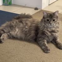 Photo of Elsie