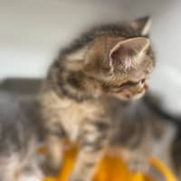 Photo of Moscow (9952)