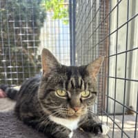 Photo of Boots (And Missy)