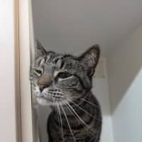 Photo of Bruce