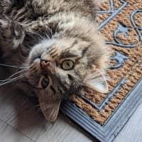 Photo of Felicity 🌹