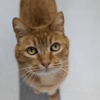 Photo of 🧡 Ed 5587 🧡