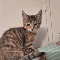 Photo of Jully