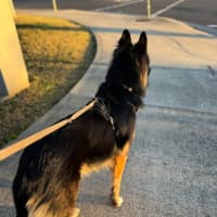 Photo of Kai