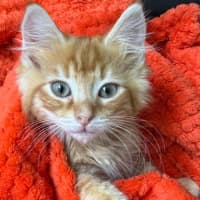 Photo of Eddie & Cherry 