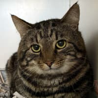 Photo of Thomas
