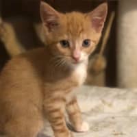 Photo of Marvin