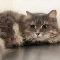 Photo of Talulah