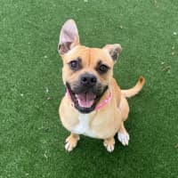 Photo of Lola Imp 1582