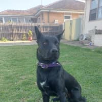 Photo of Cosy (Aka Kozi)