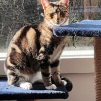 Photo of Marmee 