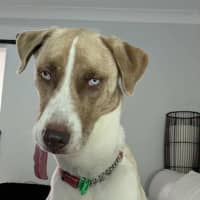 Photo of Sarmi
