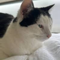 Photo of Winnie