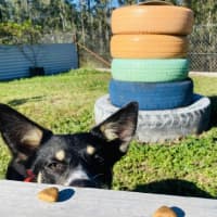 Photo of Pg (Pretty Girl)