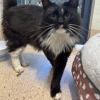 Photo of Bob