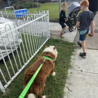 Photo of Hershey