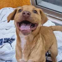 Photo of Betsy
