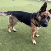 Photo of Hiro