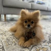 Photo of Max