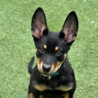 Photo of Timberglades