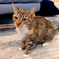 Photo of Nixie