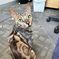 Photo of Monty Rsta012636