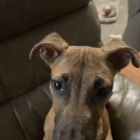 Photo of Finnick