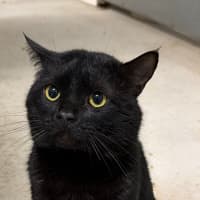 Photo of Marvin