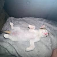 Photo of Lexii