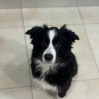 Photo of Meli