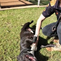 Photo of Oodie (Muggsy)