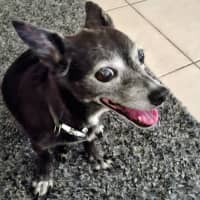 Photo of Minnie
