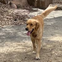 Photo of Teddy