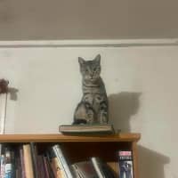 Photo of Leo