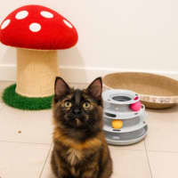 Photo of Dora And Tom