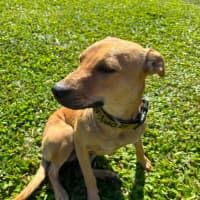 Photo of Mash