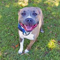 Photo of Storm