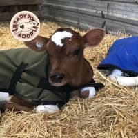 Photo of Wicket And Randy