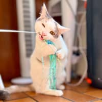 Photo of Bonnie   Located In Avondale Heights