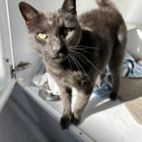Photo of Graham