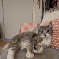 Photo of Leeloo
