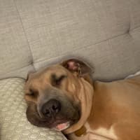Photo of Zeus