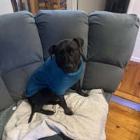 Photo of Rocket