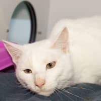 Photo of Cloudy