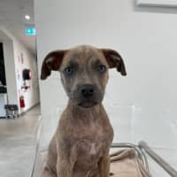 Photo of Zeus