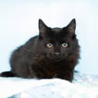 Photo of Albert Einstein