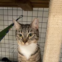 Photo of Prue & Trude