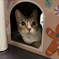 Photo of Rosie