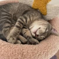 Photo of Pumpkin & Malcolm