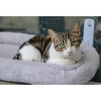 Photo of 13064   Faith